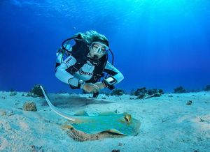 PADI Instructor Kurs (IDC)