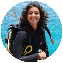 PADI Open Water Diver Kurs