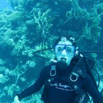 Daily Diving in Hurghada