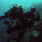 Daily Diving in Hurghada