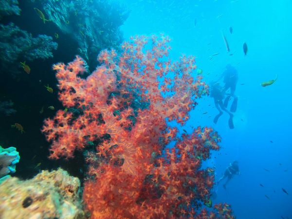 Fünf Orte, die Du besuchen musst, wenn Du nach Hurghada - Ägypten reist: